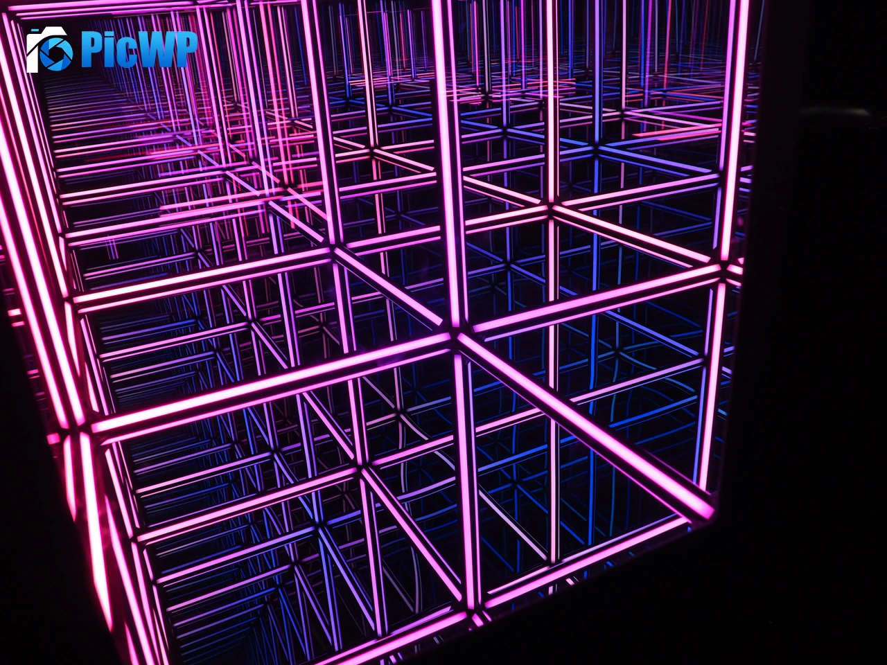 Purple Lines Light show 5K PC Wallpaper