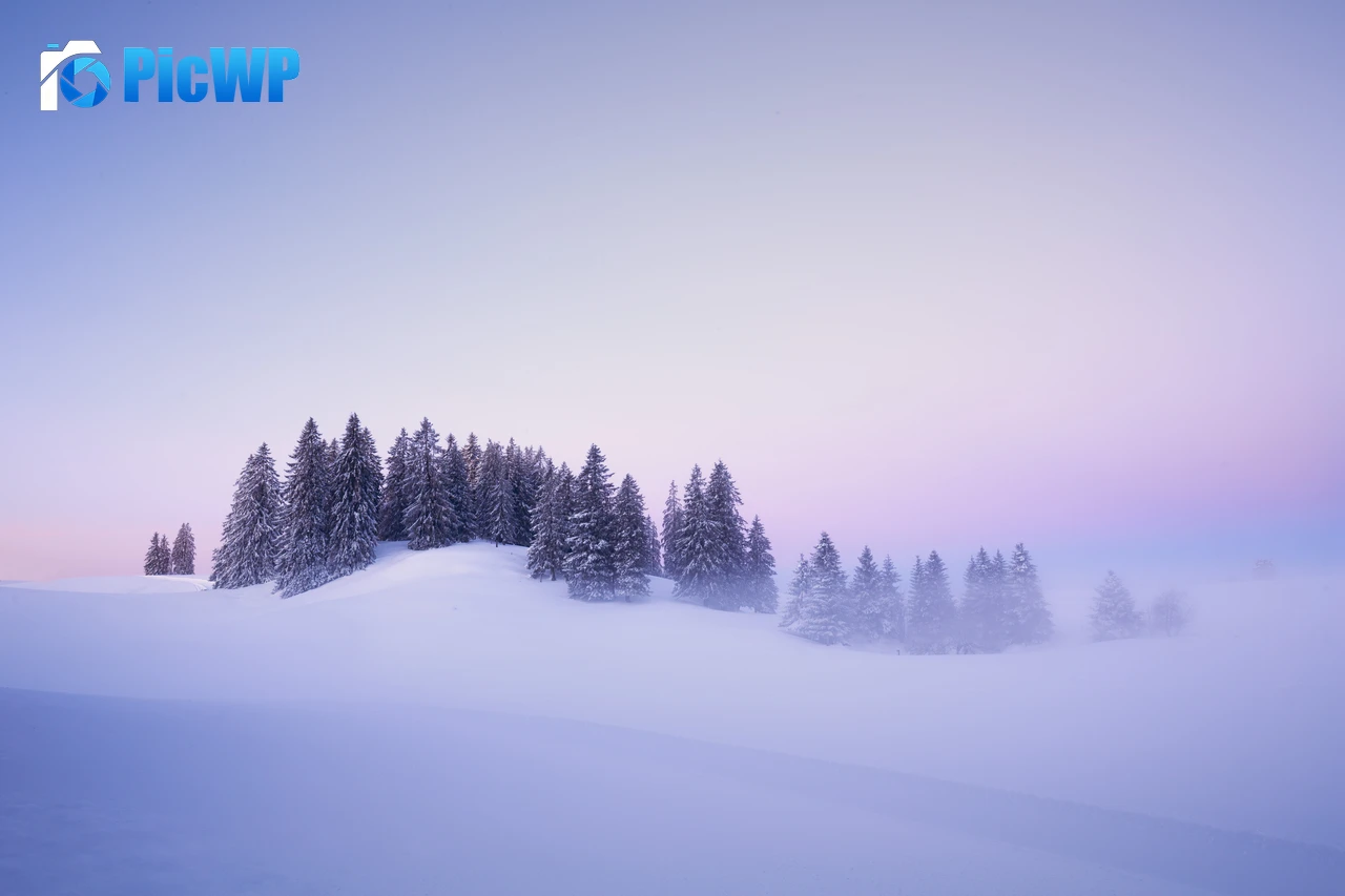 Winter Snow covered 6K PC Wallpaper