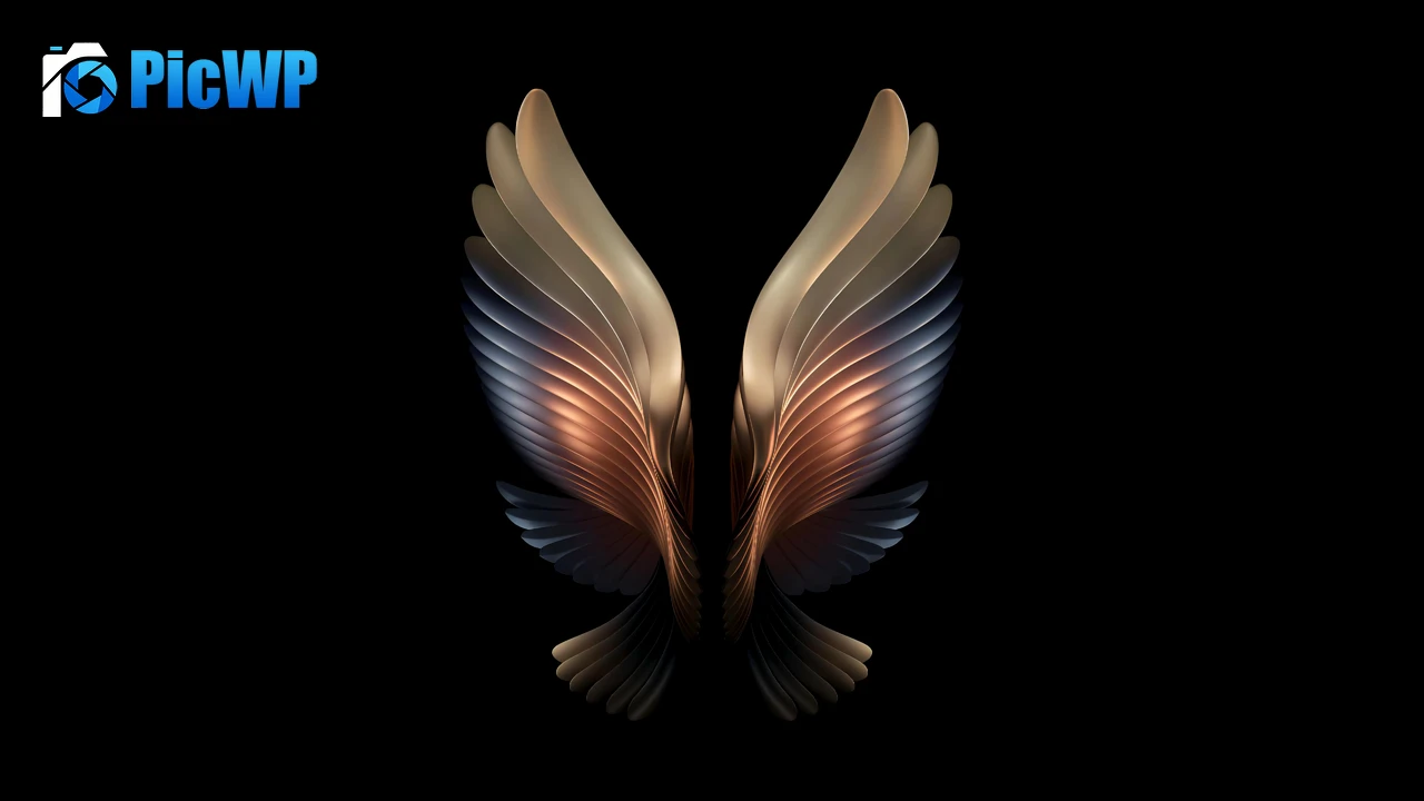 Samsung Galaxy W22 Wings 6K PC Wallpaper