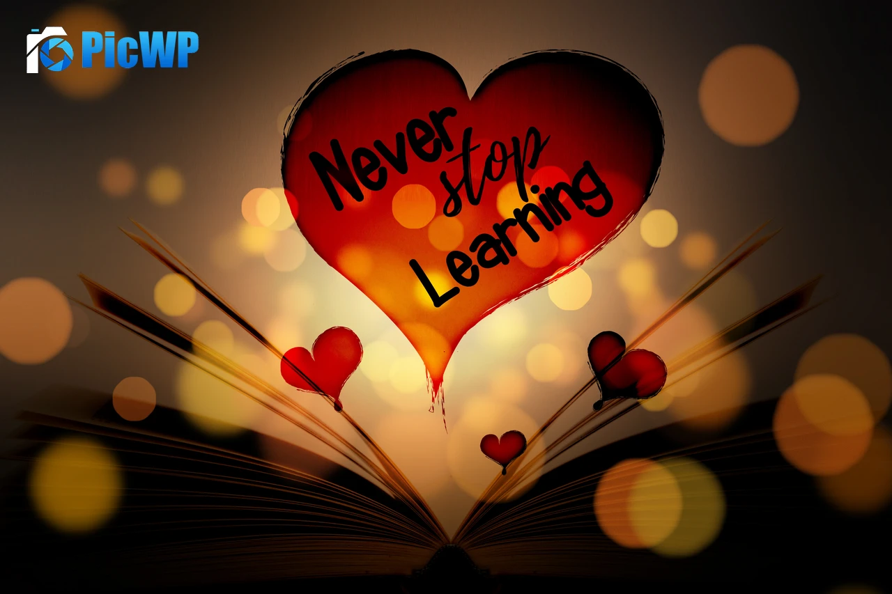 Never Stop Learning Red hearts 6K PC Wallpaper
