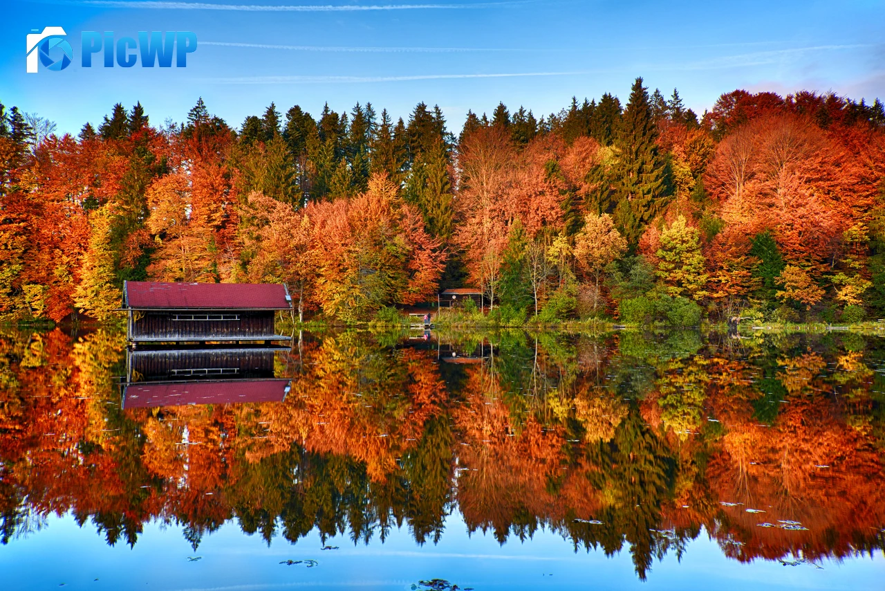 Autumn trees Mirror Lake 8K PC Wallpaper