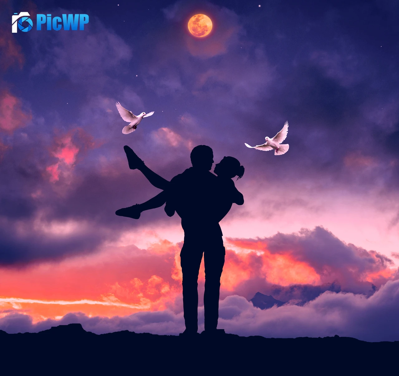Couple White Pigeons 4K PC Wallpaper