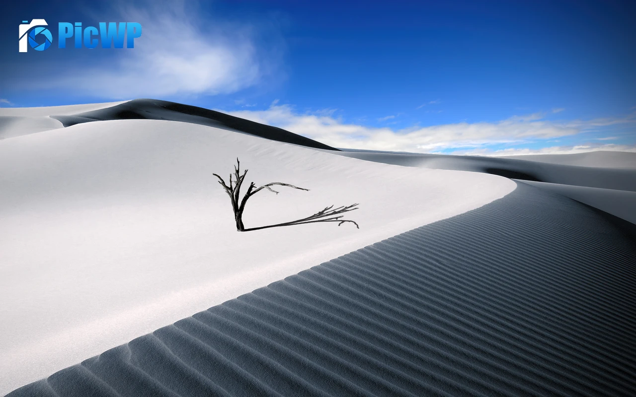 Sand Dunes Lone tree 4K PC Wallpaper
