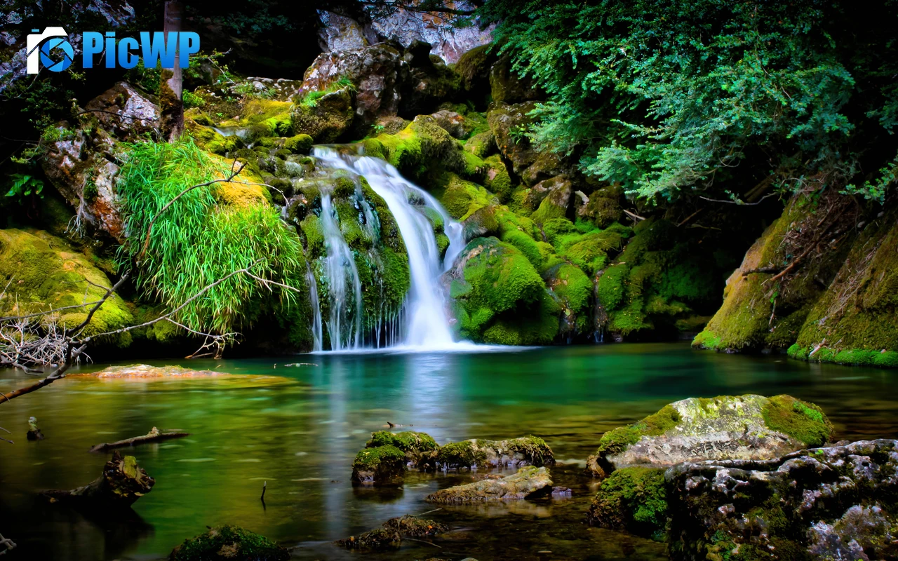 Tropical forest Waterfall 4K PC Wallpaper