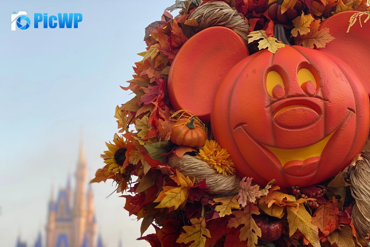 Mickey Mouse Pumpkin 5K PC Wallpaper