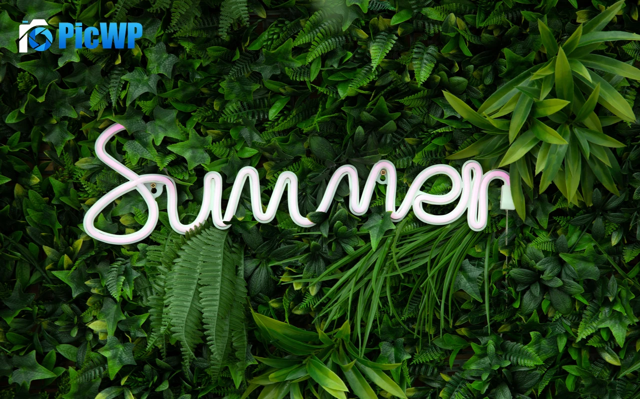 Summer Neon sign 7K PC Wallpaper