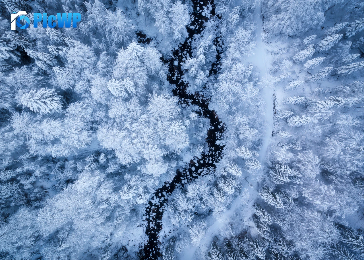Snow covered winter forest aerial view 4K PC Wallpaper