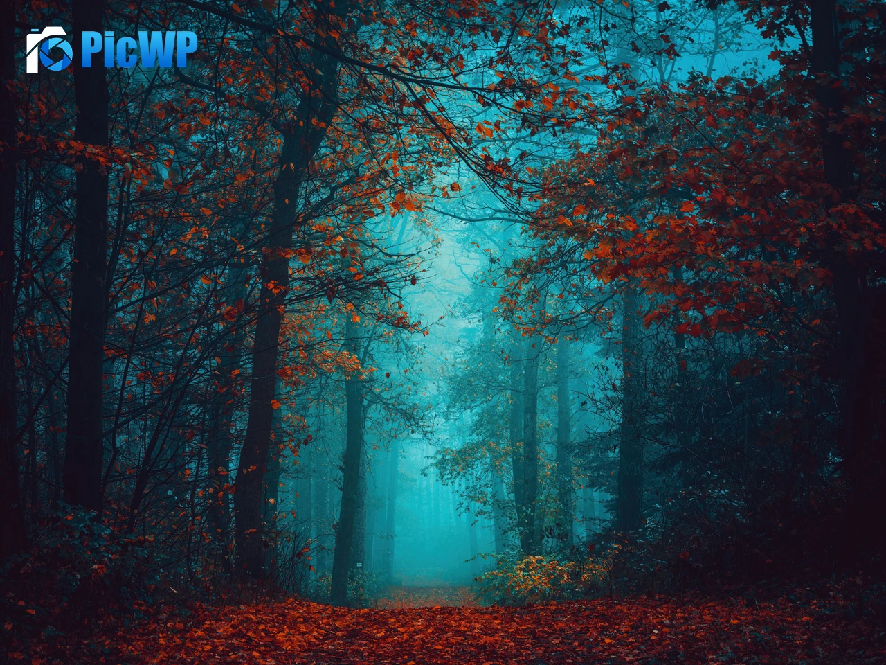 Foggy night Autumn Forest 7K PC Wallpaper
