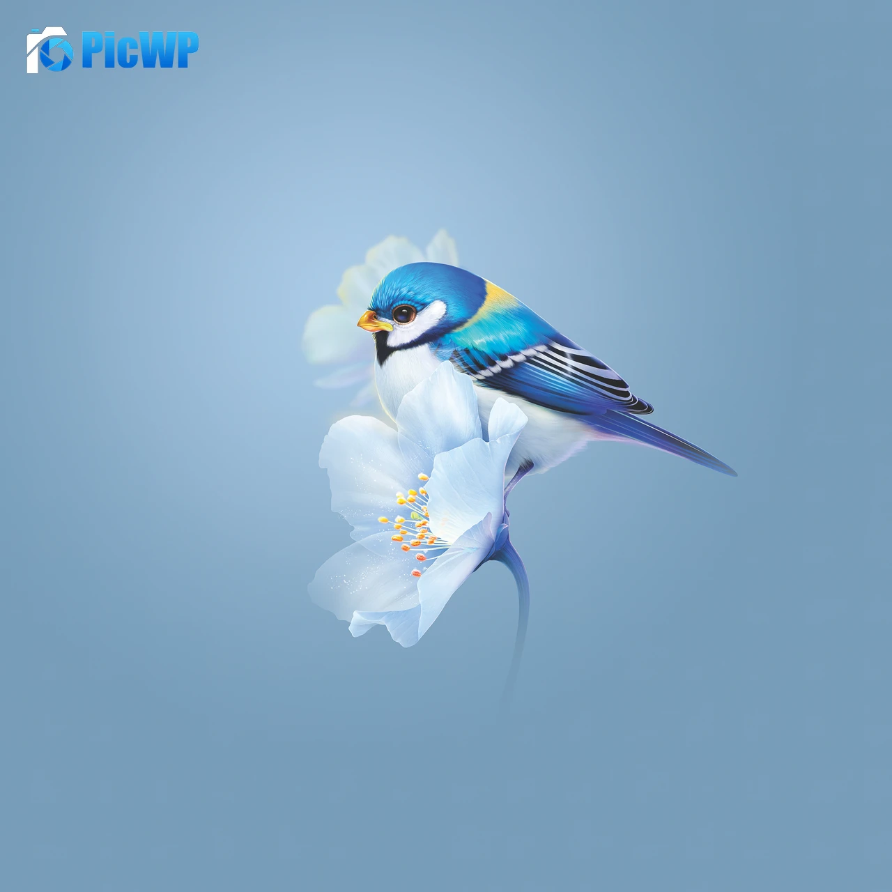 Cute bird Blue flower 4K Fold Wallpaper