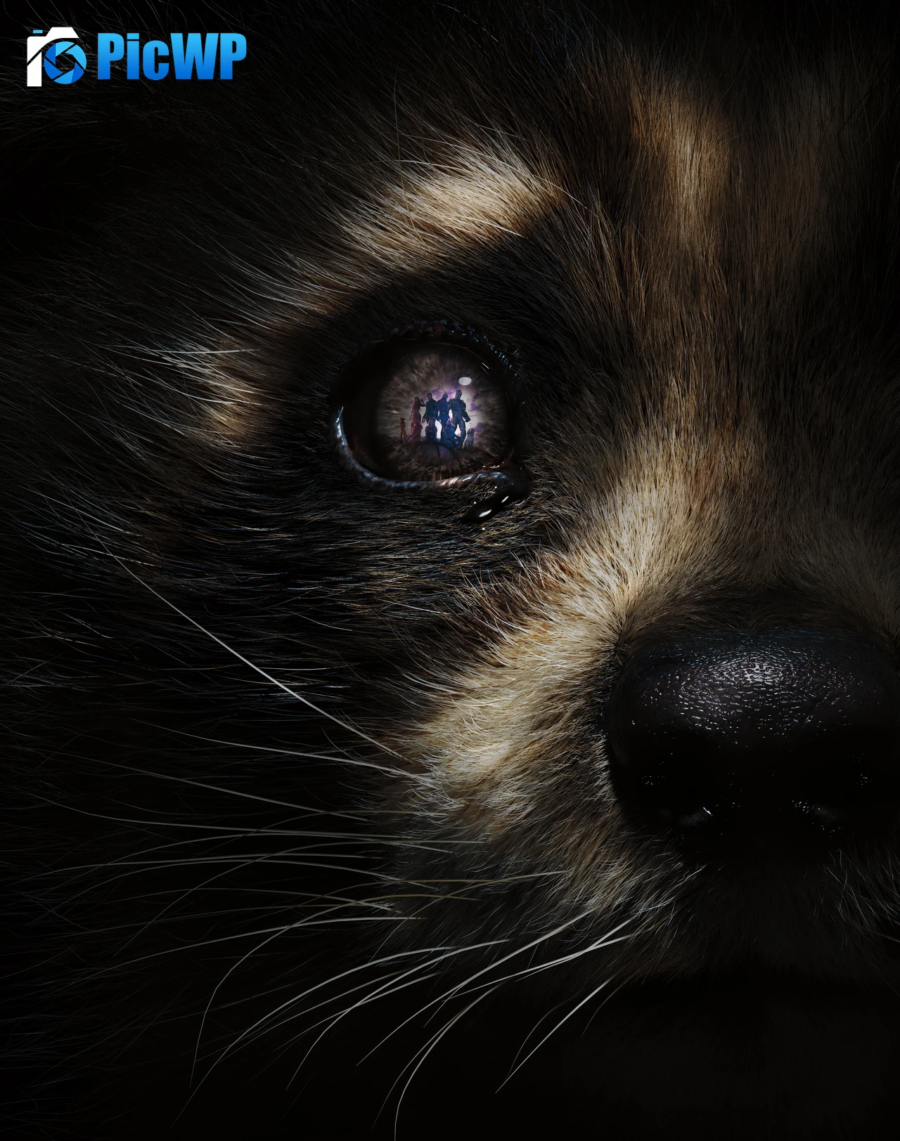 Rocket Raccoon Guardians of the Galaxy Vol. 3 7K Mobile Wallpaper