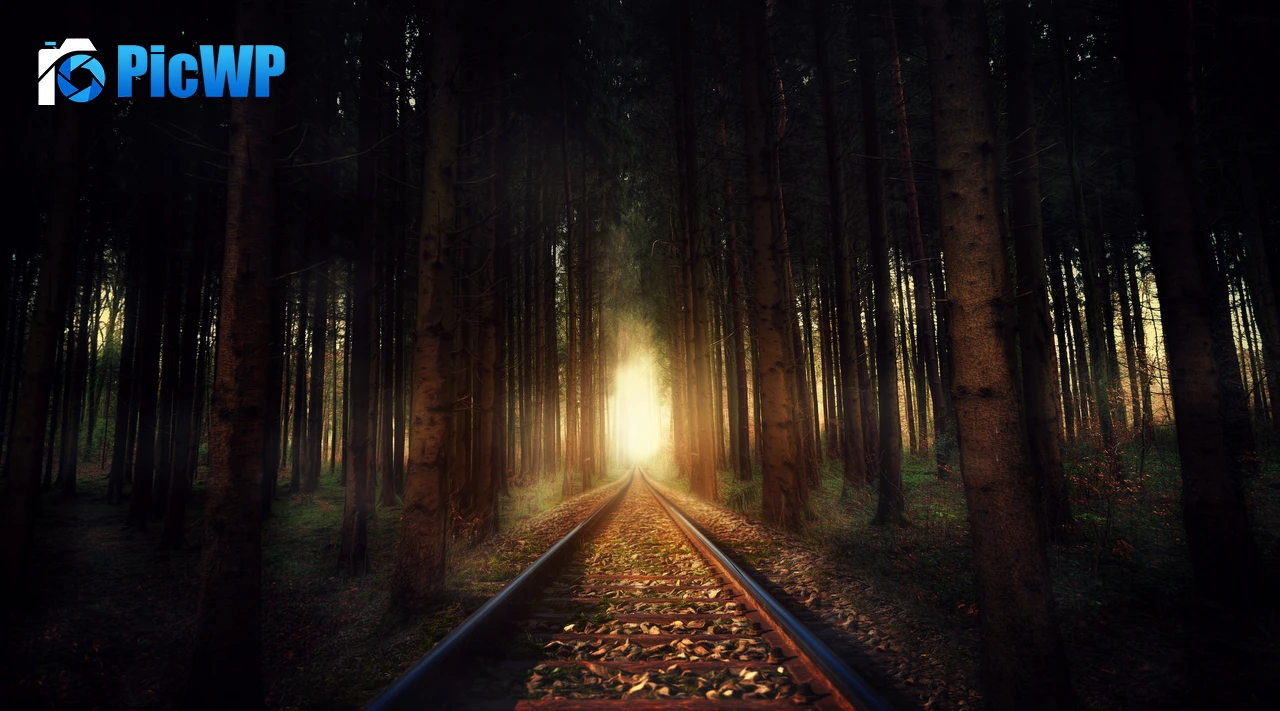 Forest Railway track 7K PC Wallpaper