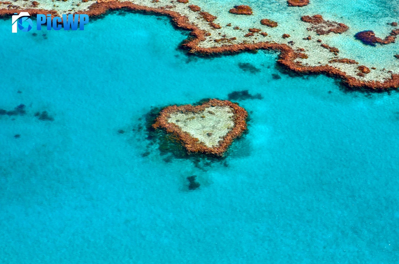Love heart Heart Reef 6K PC Wallpaper