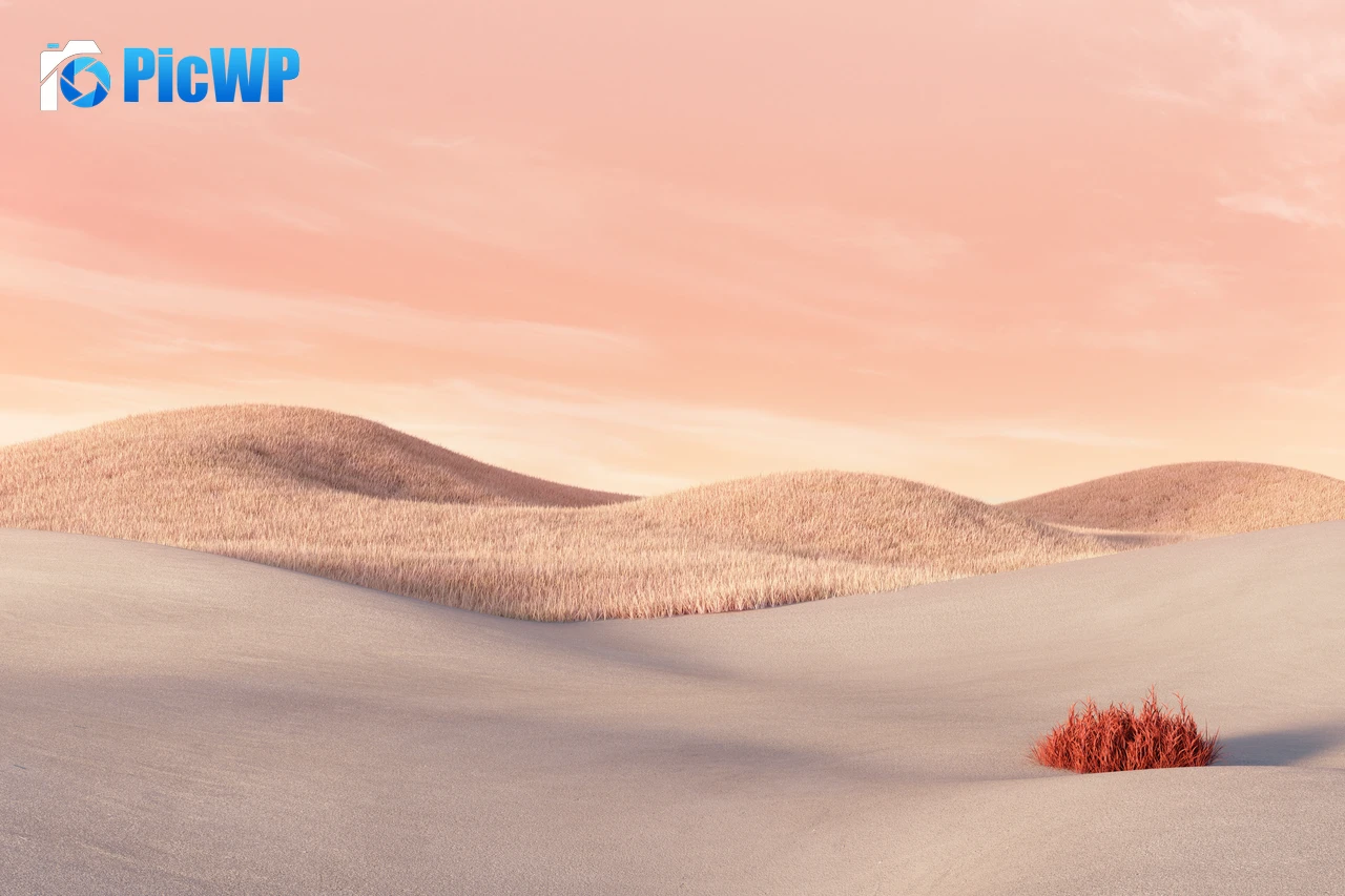 Desert Aesthetic 8K PC Wallpaper