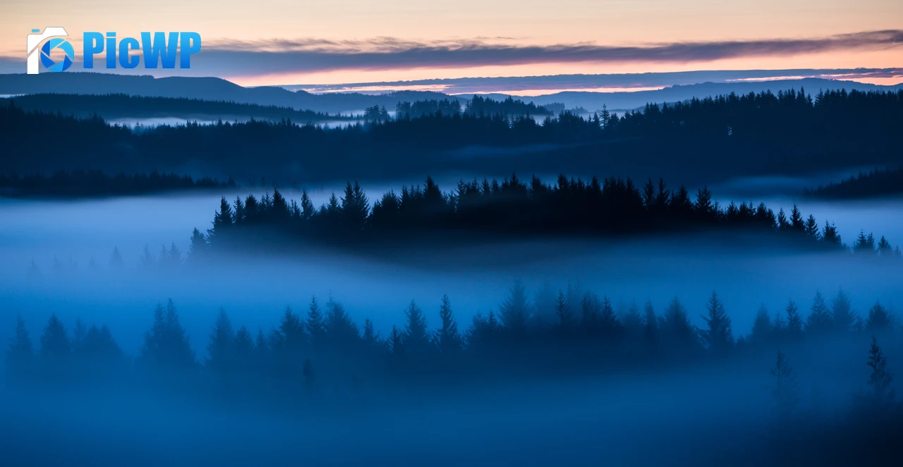 Forest Sunrise 6K PC Wallpaper