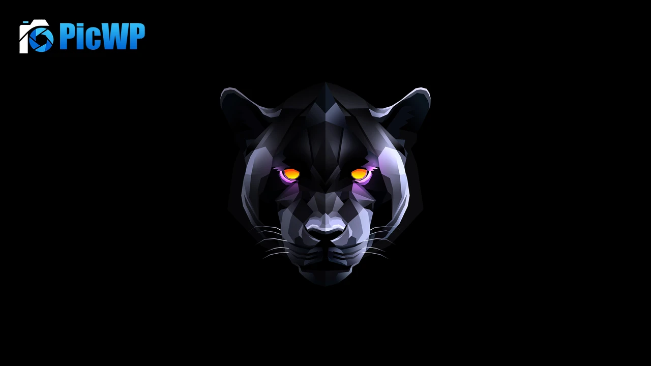 Black Panther Black background 6K PC Wallpaper