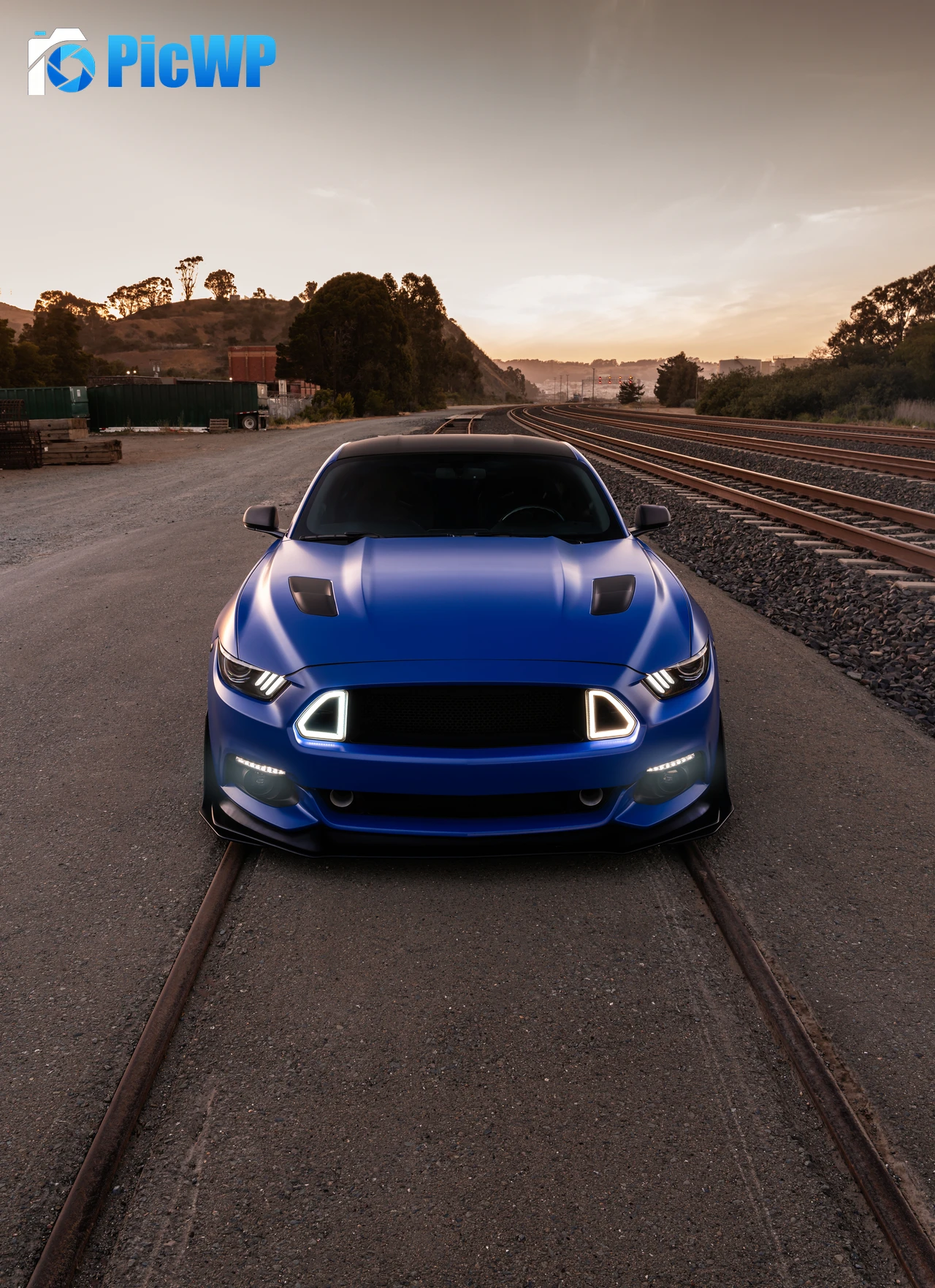 Ford Mustang GT Muscle sports cars 8K Mobile Wallpaper