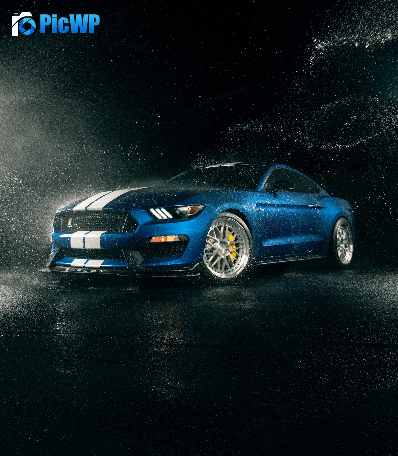 Ford Mustang Shelby GT350 Muscle sports cars 5K Mobile Wallpaper