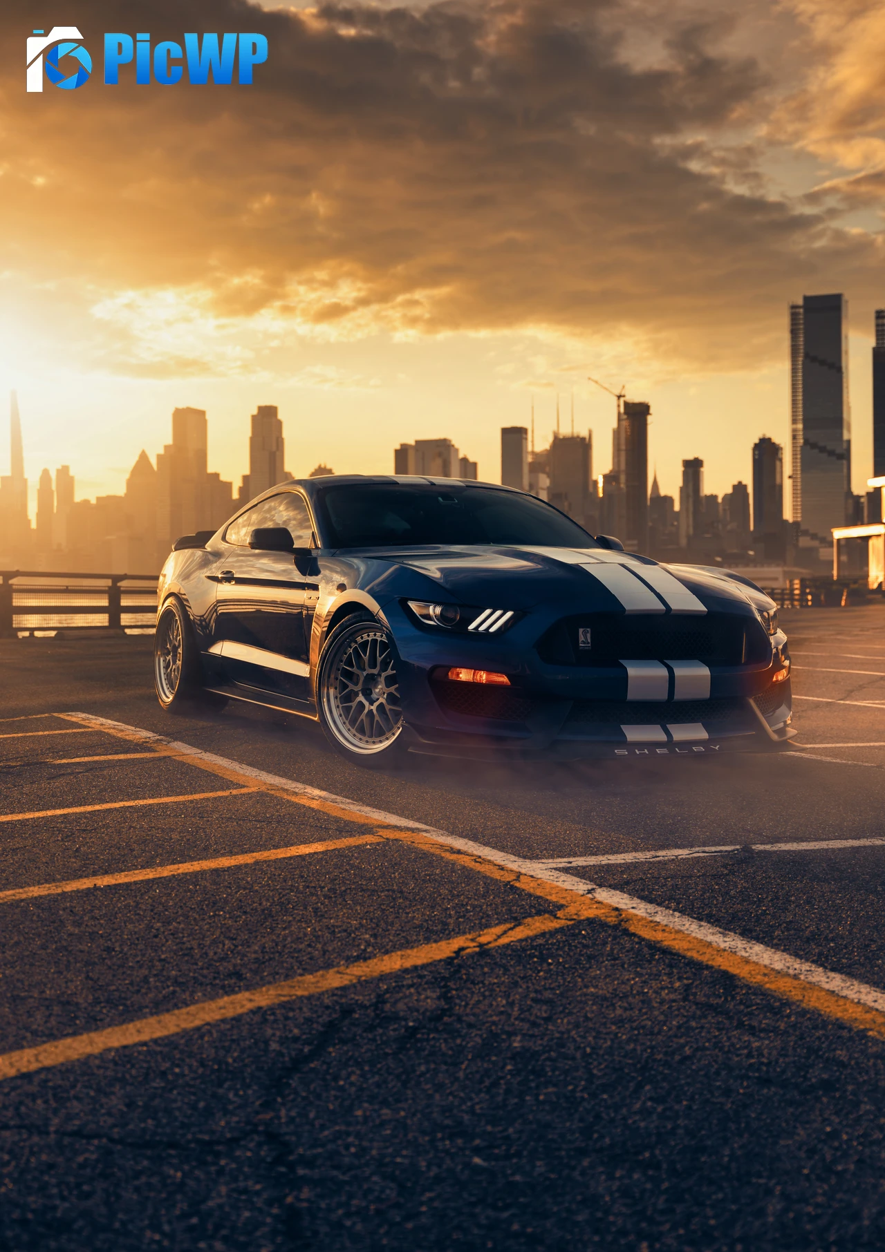 Ford Mustang Shelby GT350 Performance Sedan 8K Mobile Wallpaper