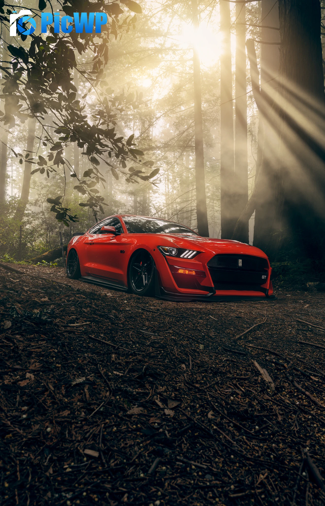 Ford Mustang GT 8K Mobile Wallpaper